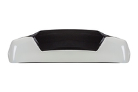 LAND CRUISER PRADO Trunk lid spoiler (TYL01180041)