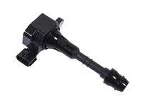 TEANA Ignition coil (NSL24488115)