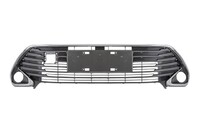 CAMRY Front bumper grille central (L016011701)