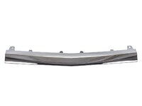 C-CLASS Bumper molding front central (DBL20588515)