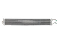 TOUAREG Oil cooler (VWL29091530)