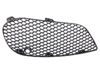 C-CLASS Front bumper grille left (DBL20588525)