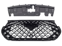 TIGGO 7 PRO Radiator grille (CRL73773737)