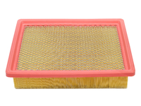 SUNRAY 2020- Air filter (JCLS1109010)