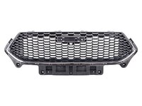 F7 Radiator grille (HVL19001111)
