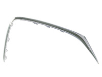 ALSVIN Radiator grille molding left (CGL29091876L)