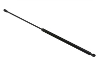 LS Bonnet gas spring (TYL45050072)