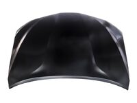 CAMRY bonnet (TYL00031843)