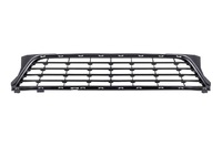 LOGAN Front bumper grille central (RNL57971717)