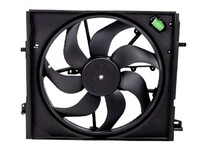 QASHQAI Cooling radiator diffuser (NSLZD168611)