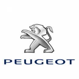 Product catalog PEUGEOT spare parts