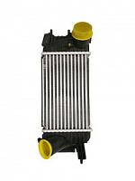 PULSAR Intercooler radiator (NSL14461100)